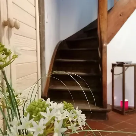 Creek Inn, Contactless Check-in Holiday home *