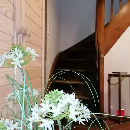 Creek Inn, Contactless Check-in 別荘 Glanbrücken