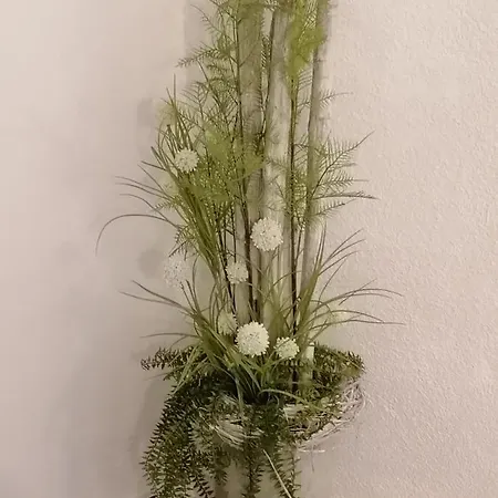 Creek Inn, Contactless Check-in 別荘 Glanbrücken