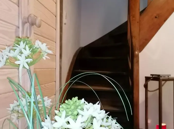 Creek Inn, Contactless Check-in Hébergement de vacances Glanbrucken